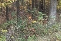 Undeveloped Land for sale in Benton County, Arkansas