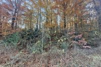 Land for sale in Cocke County, Tennessee