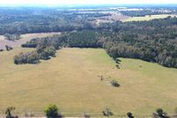 Undeveloped Land for sale in Houston County, Texas