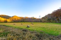 Land for sale in Lee County, Virginia