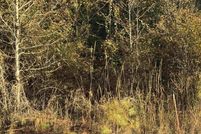 Land for sale in Etowah County, Alabama