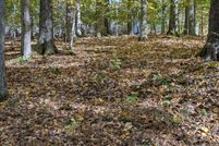 Homesite for sale in Wayne County, Kentucky