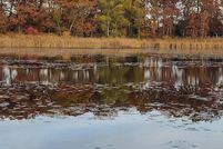 Land for sale in Berrien County, Michigan