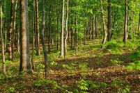 Land for sale in Macomb County, Michigan