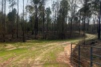 Undeveloped Land for sale in Pike County, Alabama