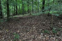 Undeveloped Land for sale in Carroll County, Georgia