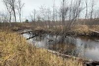 Undeveloped Land for sale in Lake County, Michigan