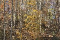 Land for sale in Sevier County, Tennessee