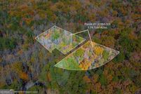Undeveloped Land for sale in Gilmer County, Georgia