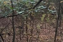 Land for sale in Pine County, Minnesota