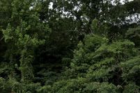 Land for sale in Brunswick County, North Carolina