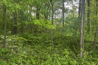 Land for sale in Anoka County, Minnesota