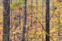 Land for sale in Cherokee County, Georgia