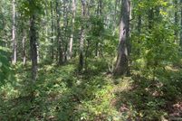 Land for sale in Cherokee County, Georgia
