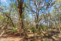 Land for sale in Clay County, Florida