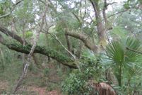 Land for sale in Brunswick County, North Carolina