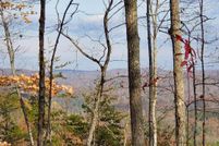 Land for sale in Scott County, Tennessee