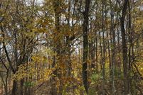 Land for sale in Monroe County, Indiana