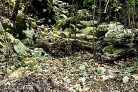 Land for sale in Marion County, Arkansas