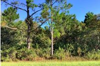 Land for sale in Orange County, Florida