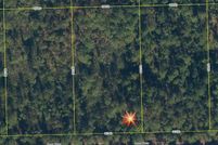 Land for sale in Putnam County, Florida