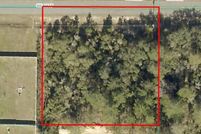 Undeveloped Land for sale in Marion County, Florida