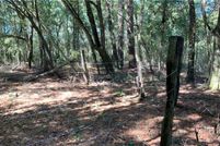 Land for sale in Effingham County, Georgia