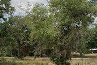 Land for sale in Citrus County, Florida