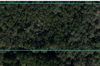 Land for sale in Levy County, Florida