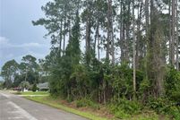 Undeveloped Land for sale in Flagler County, Florida