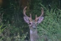 Farm and Ranch for sale in Holmes County, Florida