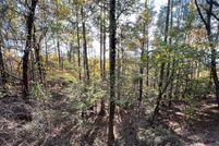 Land for sale in Tuscaloosa County, Alabama