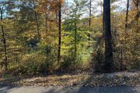Undeveloped Land for sale in Tuscaloosa County, Alabama