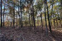 Homesite for sale in Tuscaloosa County, Alabama