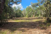 Land for sale in Levy County, Florida