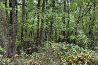 Land for sale in Fulton County, Arkansas