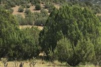 Land for sale in San Miguel County, New Mexico