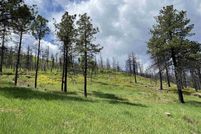 Recreational Property for sale in San Miguel County, New Mexico