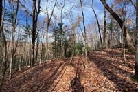 Land for sale in Gilmer County, Georgia