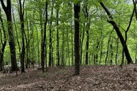 Land for sale in Pickens County, Georgia