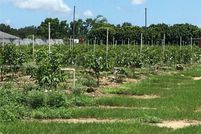 Land for sale in Miami-Dade County, Florida