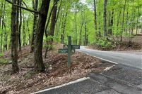 Undeveloped Land for sale in Pickens County, Georgia