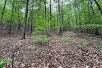 Undeveloped Land for sale in Dawson County, Georgia