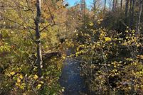 Undeveloped Land for sale in Dawson County, Georgia