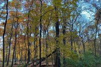 Land for sale in Saint Joseph County, Michigan