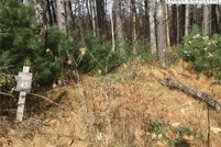 Undeveloped Land for sale in Ashe County, North Carolina