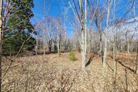 Homesite for sale in Otsego County, Michigan