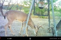 Land for sale in Brown County, Texas