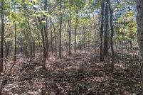 Land for sale in Fulton County, Arkansas