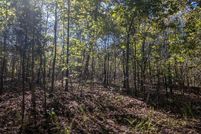 Timberland Property for sale in Fulton County, Arkansas